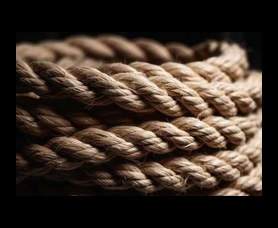 Packaging Material Suppliers in Thane